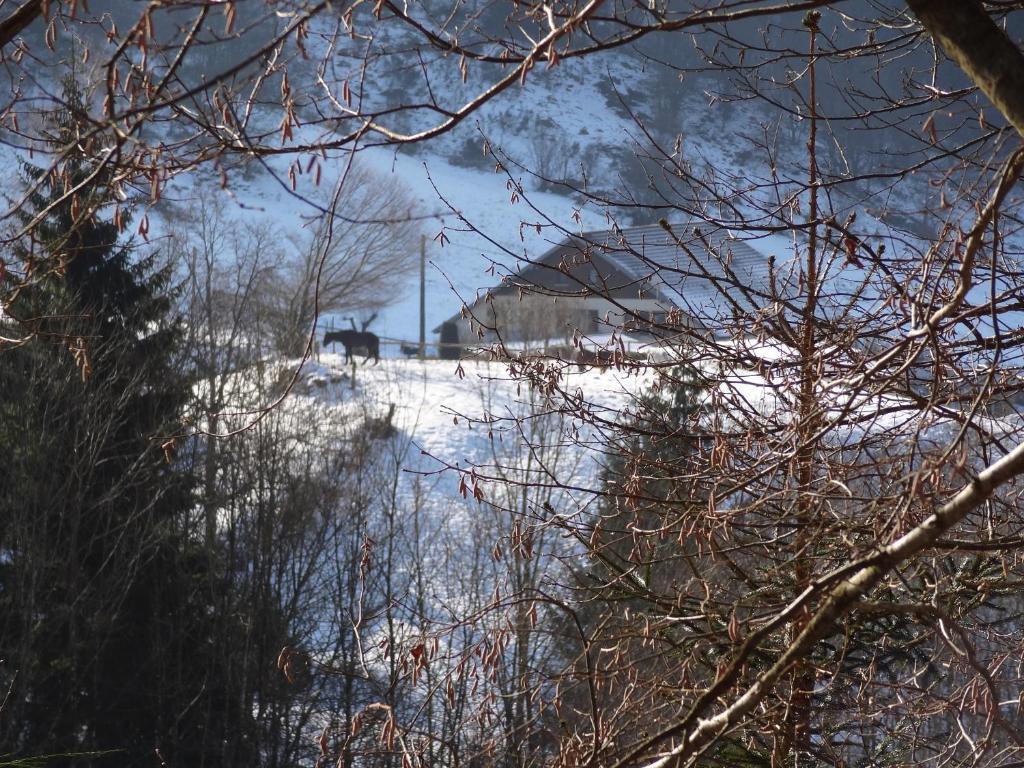 Ferme Auberge A La Colline Ferdrupt Kültér fotó
