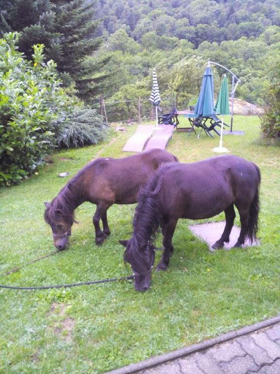 Ferme Auberge A La Colline Ferdrupt Kültér fotó