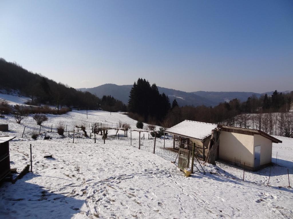 Ferme Auberge A La Colline Ferdrupt Kültér fotó