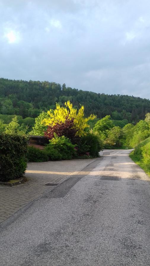 Ferme Auberge A La Colline Ferdrupt Kültér fotó