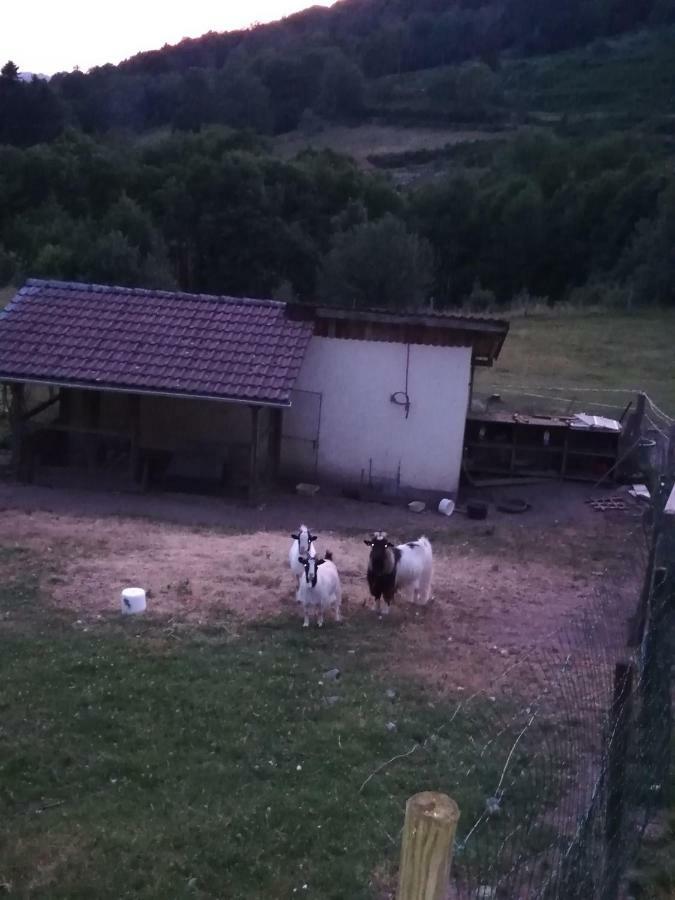 Ferme Auberge A La Colline Ferdrupt Kültér fotó